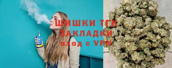 соль ск Алексин